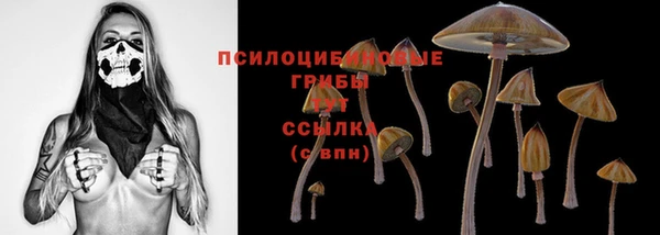 МДПВ Алзамай