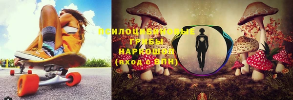 прущий лед Алексин