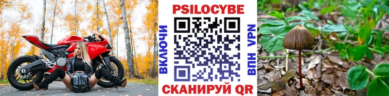 Галлюциногенные грибы мухоморы  mega ONION  Шацк 